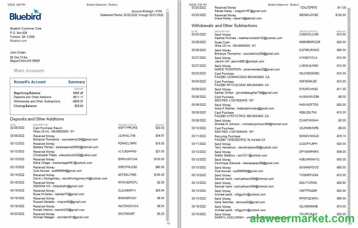 USA Bluebird bank statement Word and PDF template, 3 pages, version 2